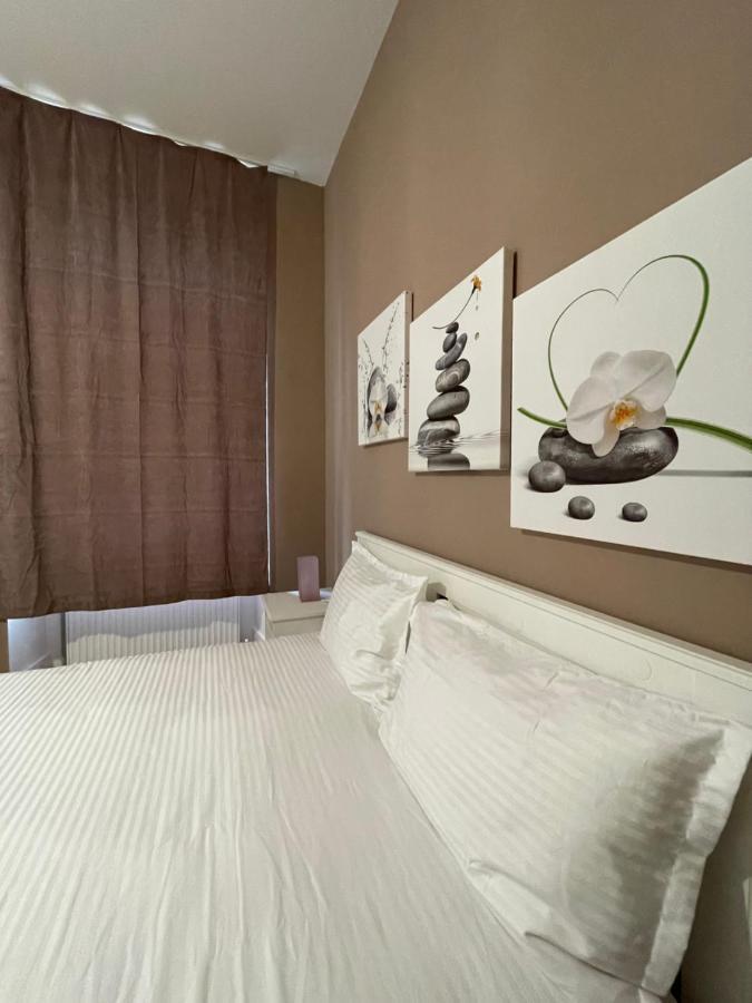 Schei Central Studios In The Heart Of براشوف المظهر الخارجي الصورة